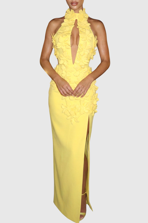 chinese dress ladies Halter Hollow Out Maxi Bandage Dress – CHICIDA main image 0