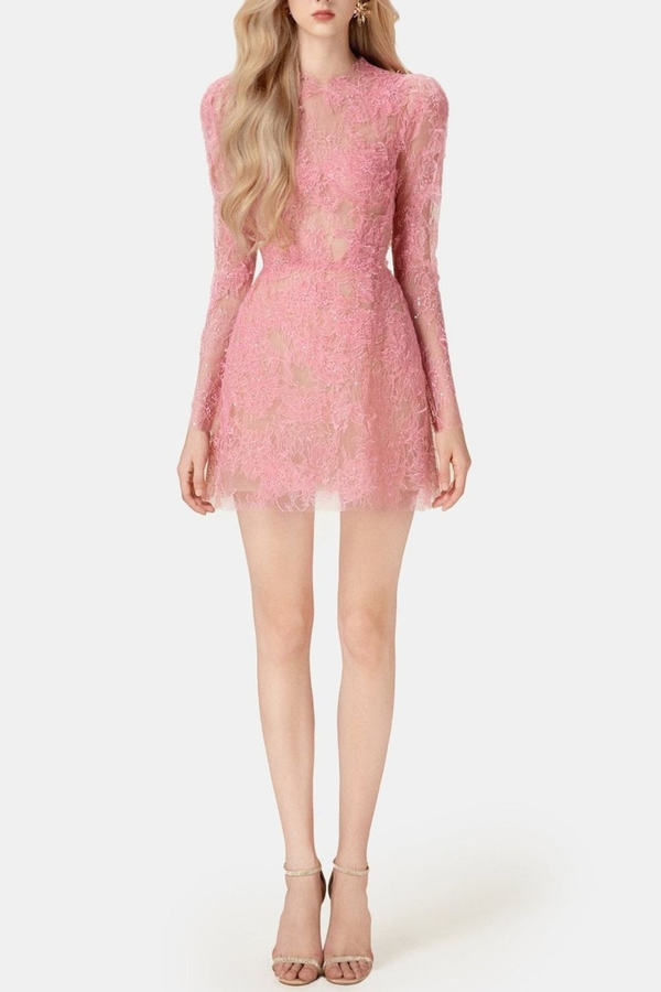 Batya Lace Long Sleeve Mini Dress - Pink