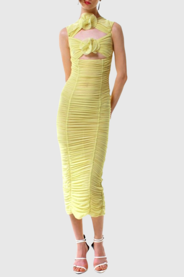 Earls Floral Sleeveless Ruched Mesh Midi Dress