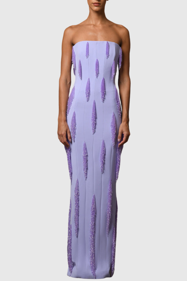 Ebony Strapless Beaded Fringe Embellished Maxi Dress