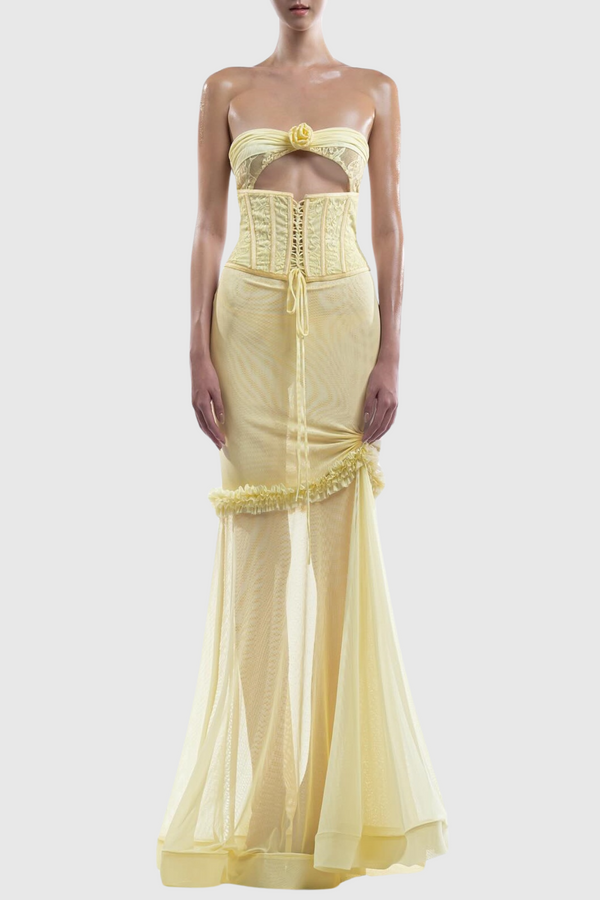 Laythan Mesh Cutout Corset Maxi Dress - Yellow