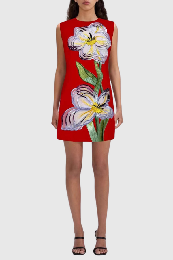 Mimoza Floral Appliqué Sleeveless Mini Dress - Red
