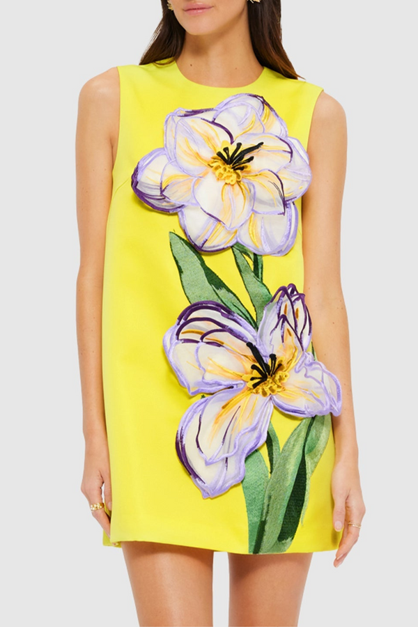 Mimoza Floral Appliqué Sleeveless Mini Dress - Yellow