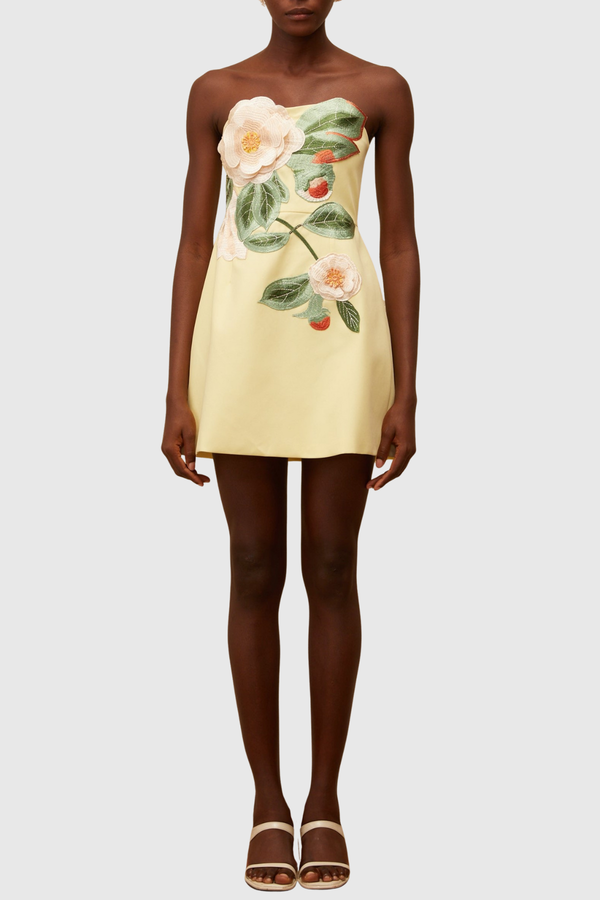 Obelia Strapless Floral Embroidered Mini Dress