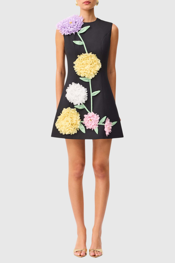 Trevia Floral Appliqué Sleeveless Mini Dress - Black
